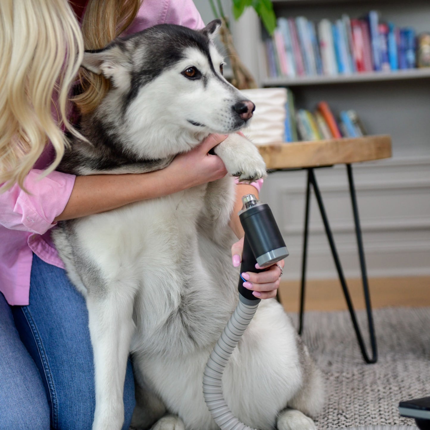 Furme Paw Maintenance Vacuum Attachment Set